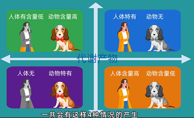 在PK-TK研究中，什么情况下需要做代谢产物监测以及代谢产物安全性试验（MIST）.jpg