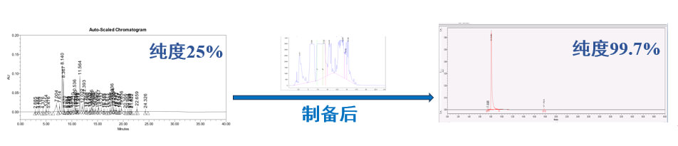 案例一：仿制药发补：大极性杂质制备.jpg