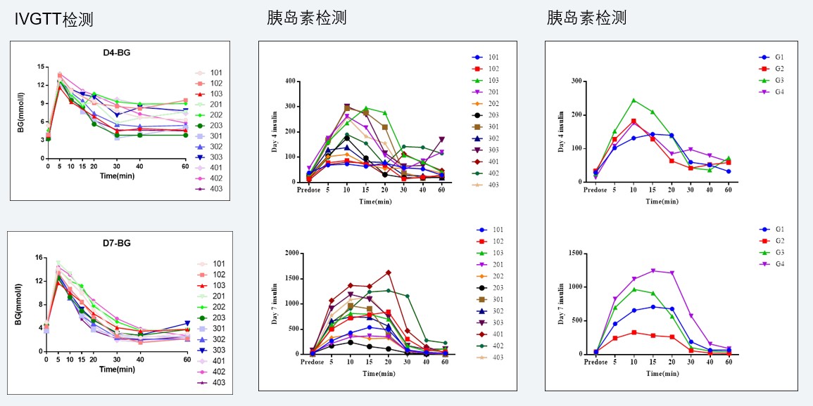 案例4：食蟹猴IVGTT和胰岛素检测实验.jpg