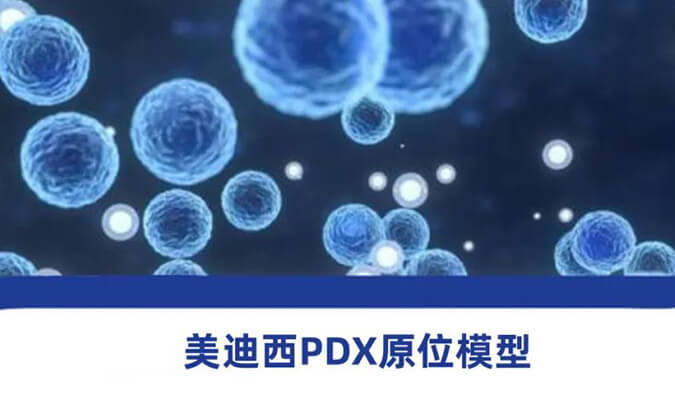 凯时网站118种PDX原位模型，助力肿瘤药物研发