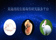 凯时网站的生殖毒性研究服务平台