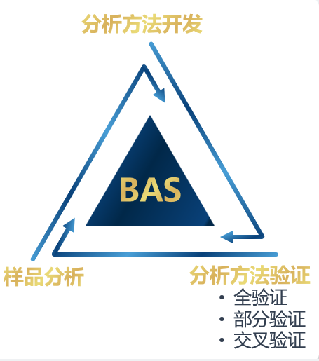 凯时网站生物分析.jpg