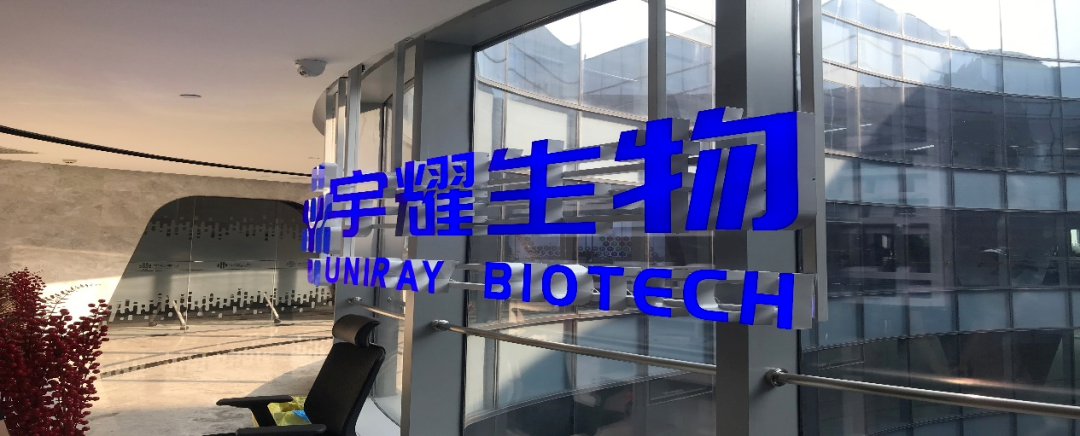 凯时网站助力 | 宇耀生物STAT3双磷酸化位点抑制剂YY201成功完成中美双报