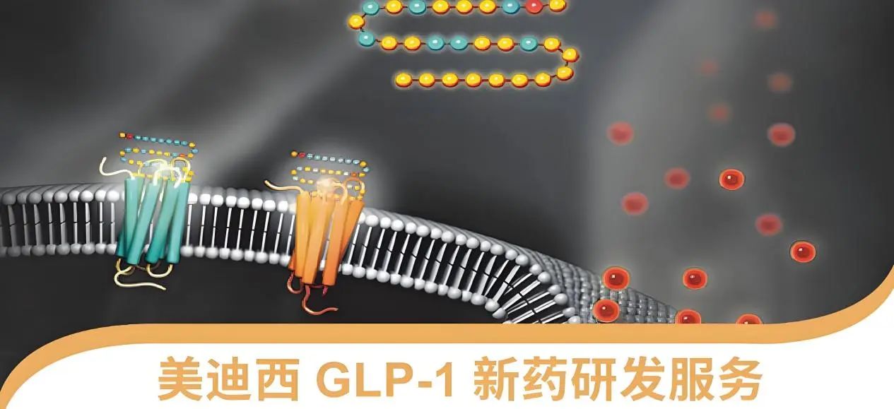 70.5%的成人正在悄悄长胖！国家卫健委“减肥令”下，GLP-1药物如何突围？